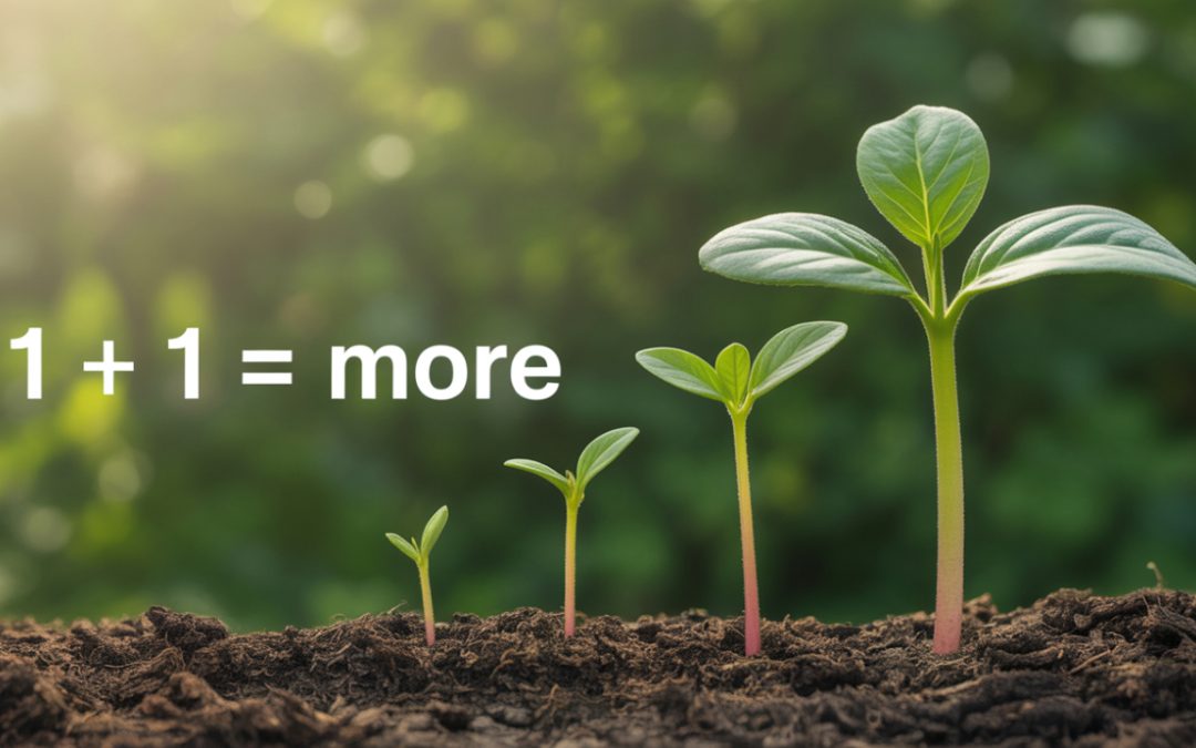 Habit 6 Synergy – When 1 + 1 = More Than 2